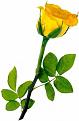 Click image for larger version

Name:	rose.JPG
Views:	174
Size:	21.3 KB
ID:	582750